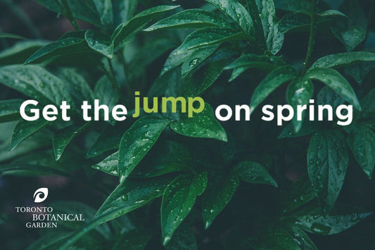 Get the Jump on Spring 2025 - Botanical Rarities